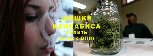 крисы Кулебаки