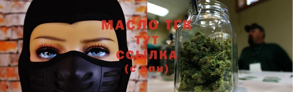 крисы Кулебаки
