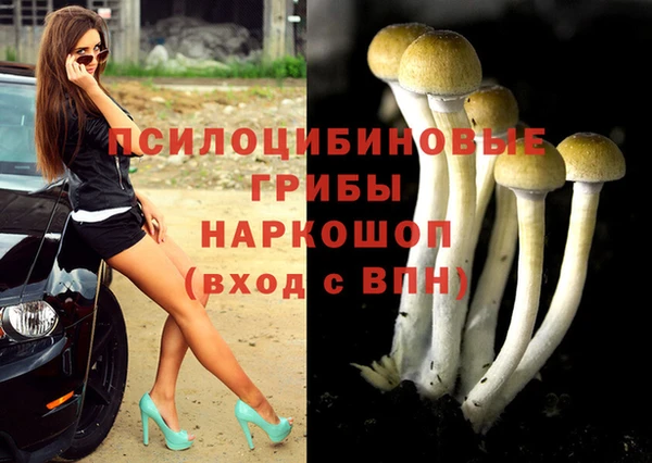 мяу мяу мука Краснотурьинск