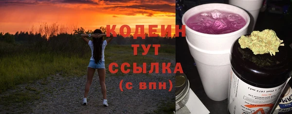 крисы Кулебаки