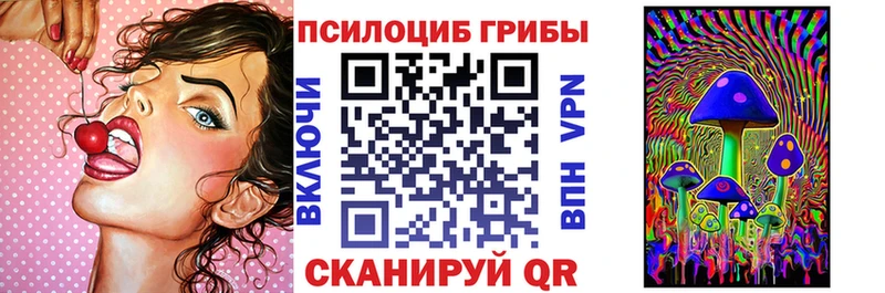 Галлюциногенные грибы Psilocybine cubensis Озёрск