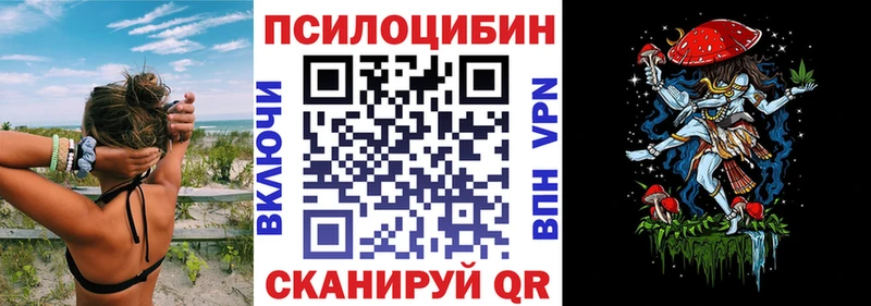 Псилоцибиновые грибы Psilocybine cubensis  как найти   Озёрск 